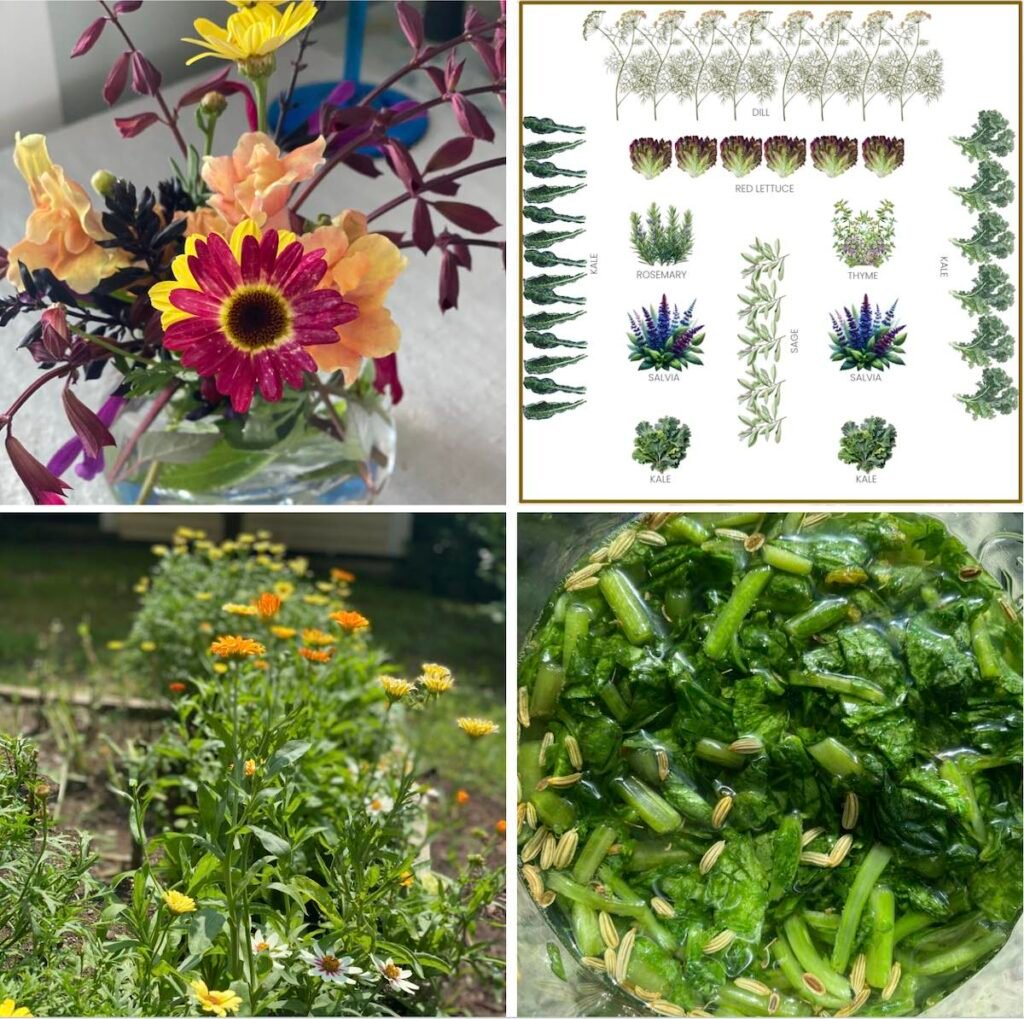 collage of photos from a kitchen garden, a.k.a. a potager garden.