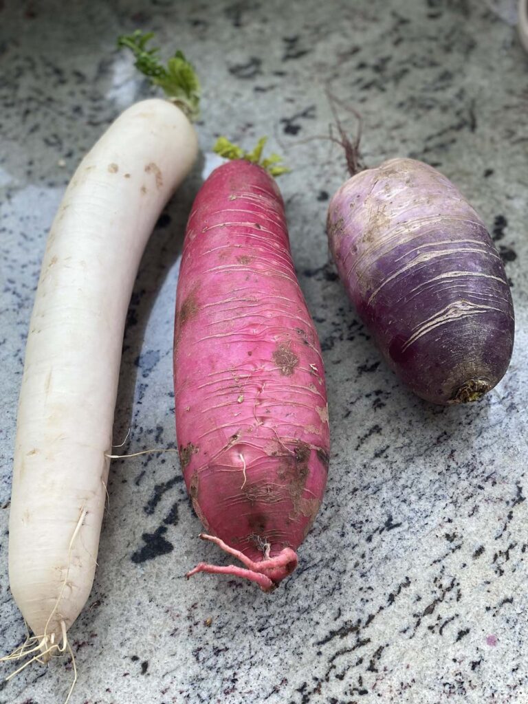 Carrot Cucumber Daikon Salad with Cilantro Citrus Dressing | Sofa Dinners
