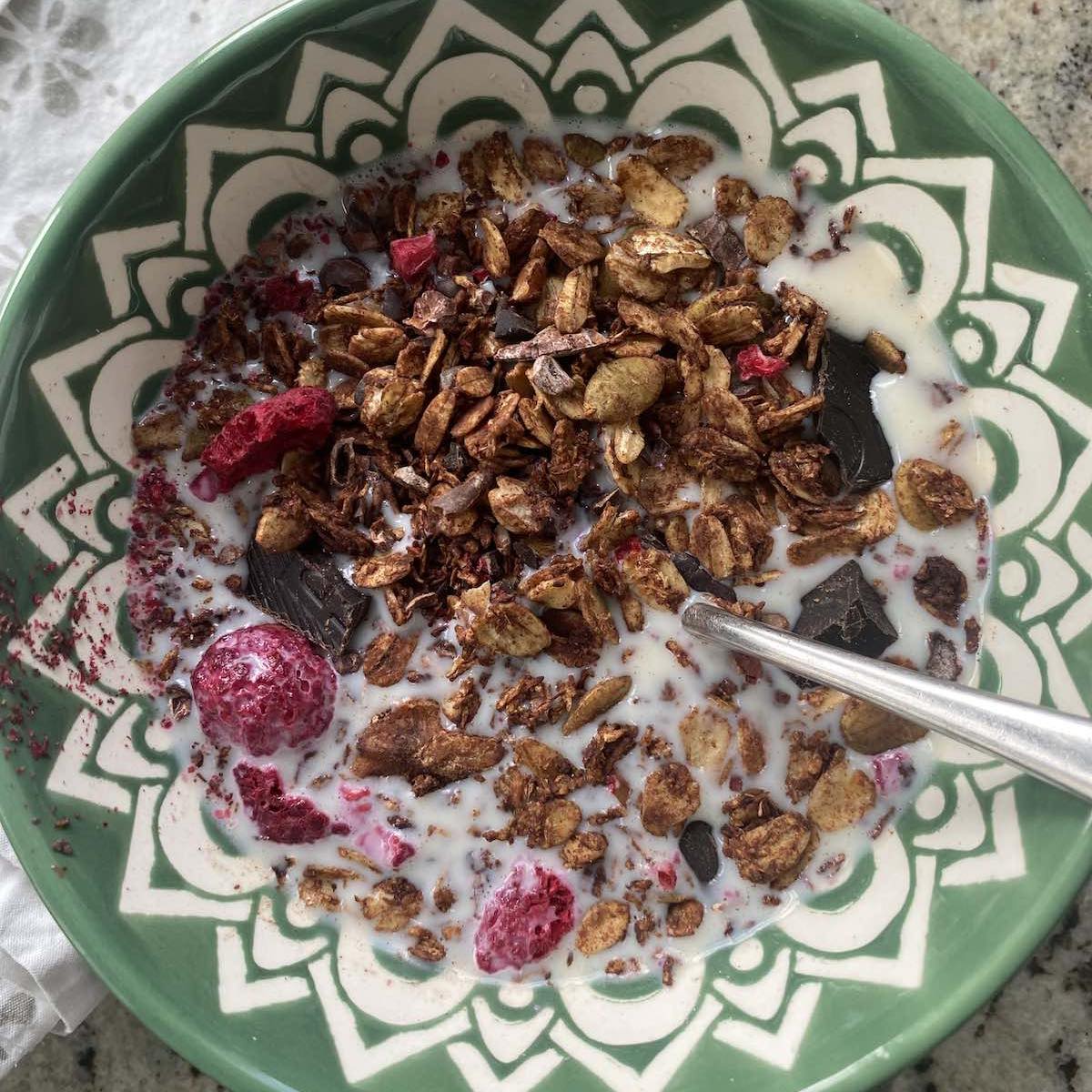 Dark Chocolate Granola with Dehydrated Raspberries