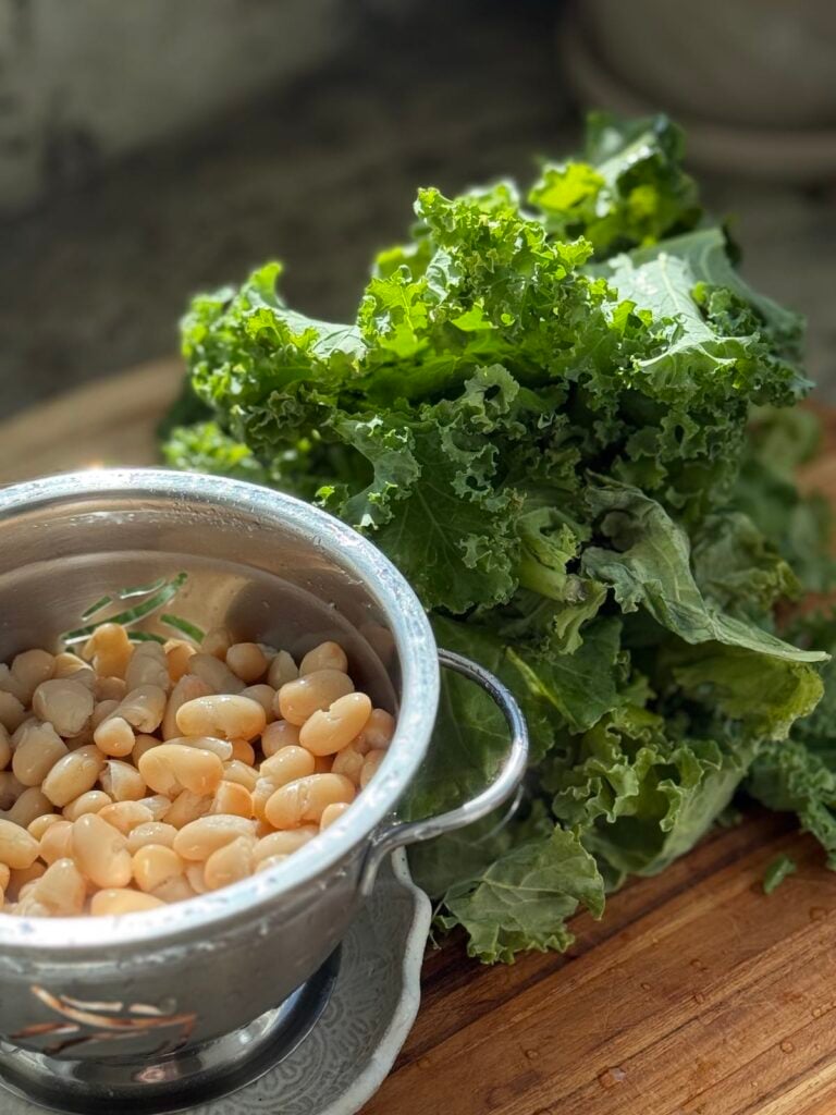 white cannelini beans and kale, washed and ready to be added to ragu.
